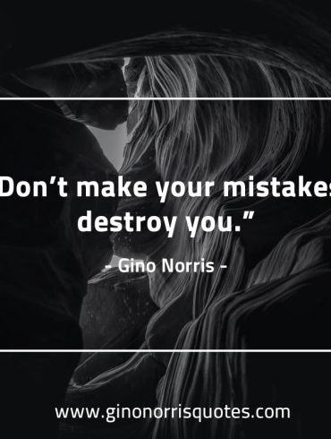 Dont make your mistakes GinoNorris 1