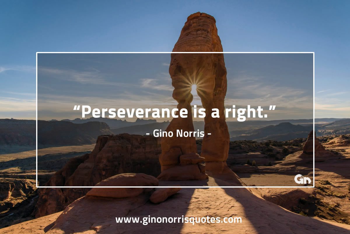 Perseverance is a right GinoNorris 1