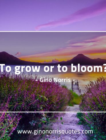 To grow or bloom GinoNorris 1