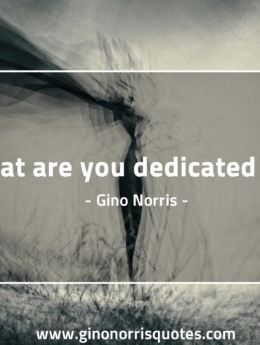 What are you dedicated GinoNorris 1200x750 1