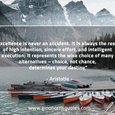 Excellence is never an accident AristotleQuotes