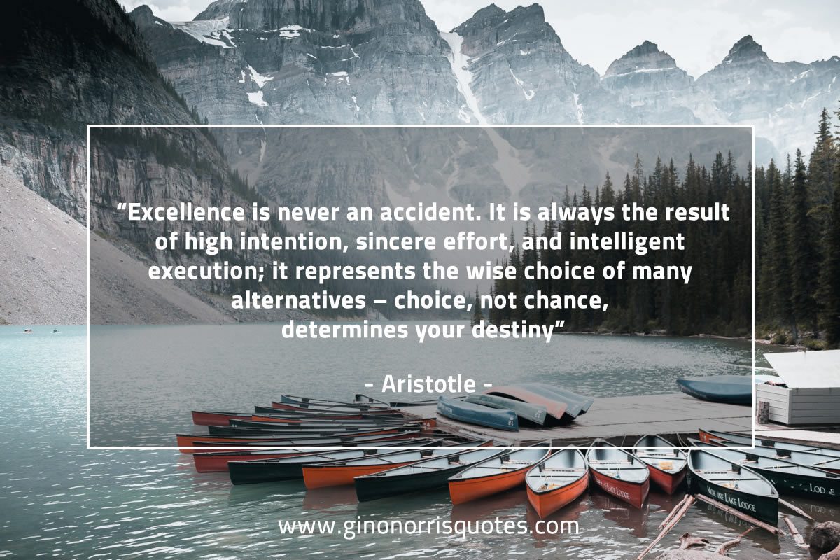 Excellence is never an accident AristotleQuotes