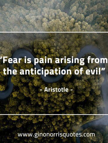 Fear is pain arising AristotleQuotes