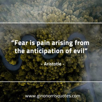 Fear is pain arising AristotleQuotes