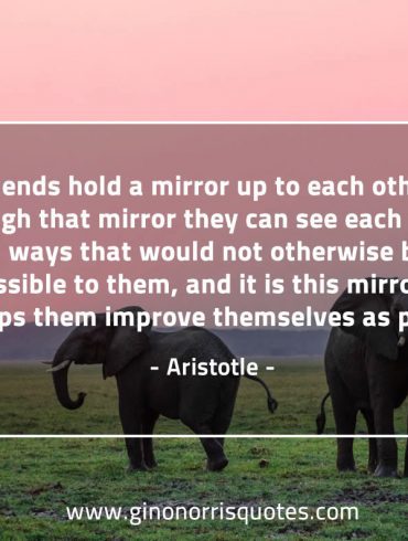 Friends hold a mirror AristotleQuotes