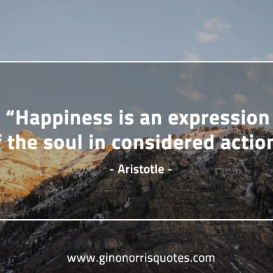 Happiness is an expression AristotleQuotes