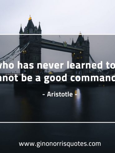 He who has never learned AristotleQuotes