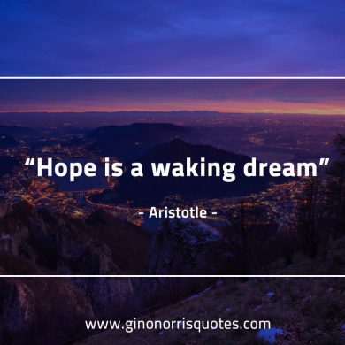 Hope is a waking dream AristotleQuotes