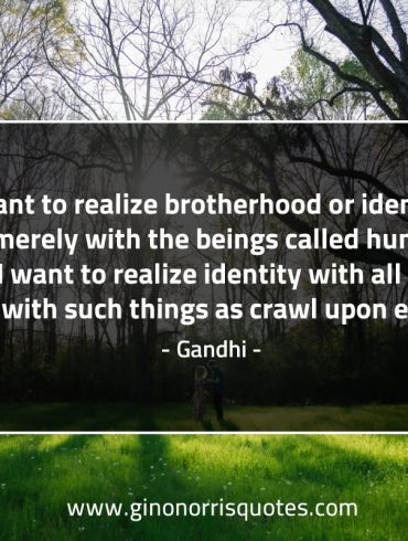 I want to realize brotherhood or identity GandhiQuotesv