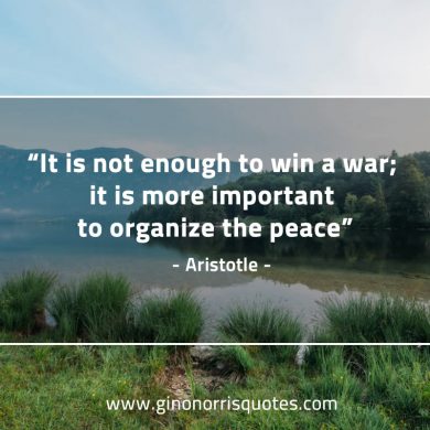 It is not enough to win a war AristotleQuotes