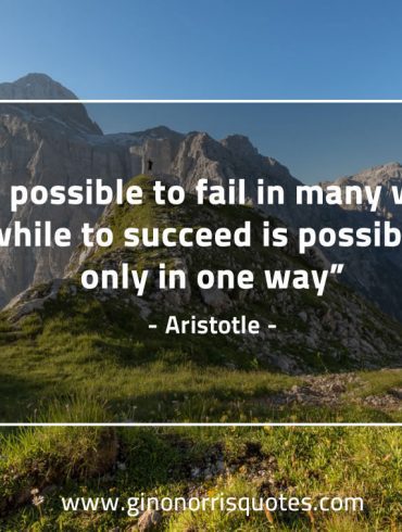 It is possible to fail AristotleQuotes