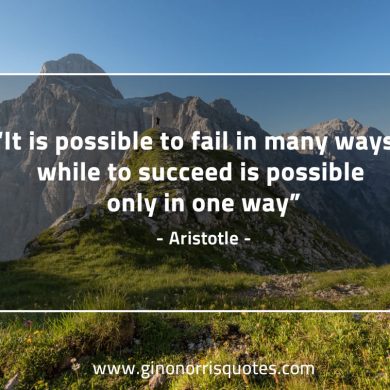 It is possible to fail AristotleQuotes