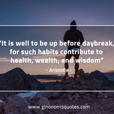 It is well to be up before daybreak AristotleQuotes