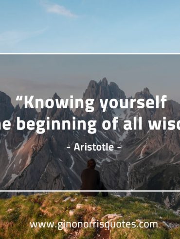 Knowing yourself AristotleQuotes