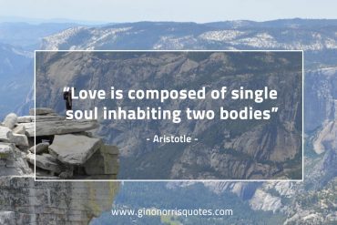 Love is composed of AristotleQuotes