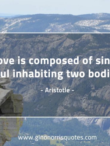 Love is composed of AristotleQuotes