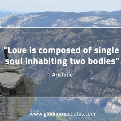 Love is composed of AristotleQuotes