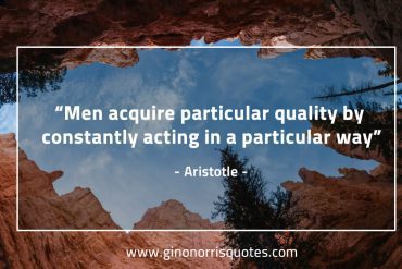 Men acquire particular quality AristotleQuotes