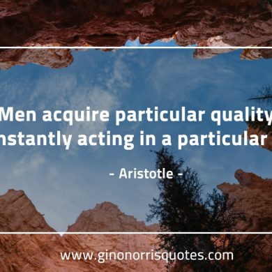 Men acquire particular quality AristotleQuotes