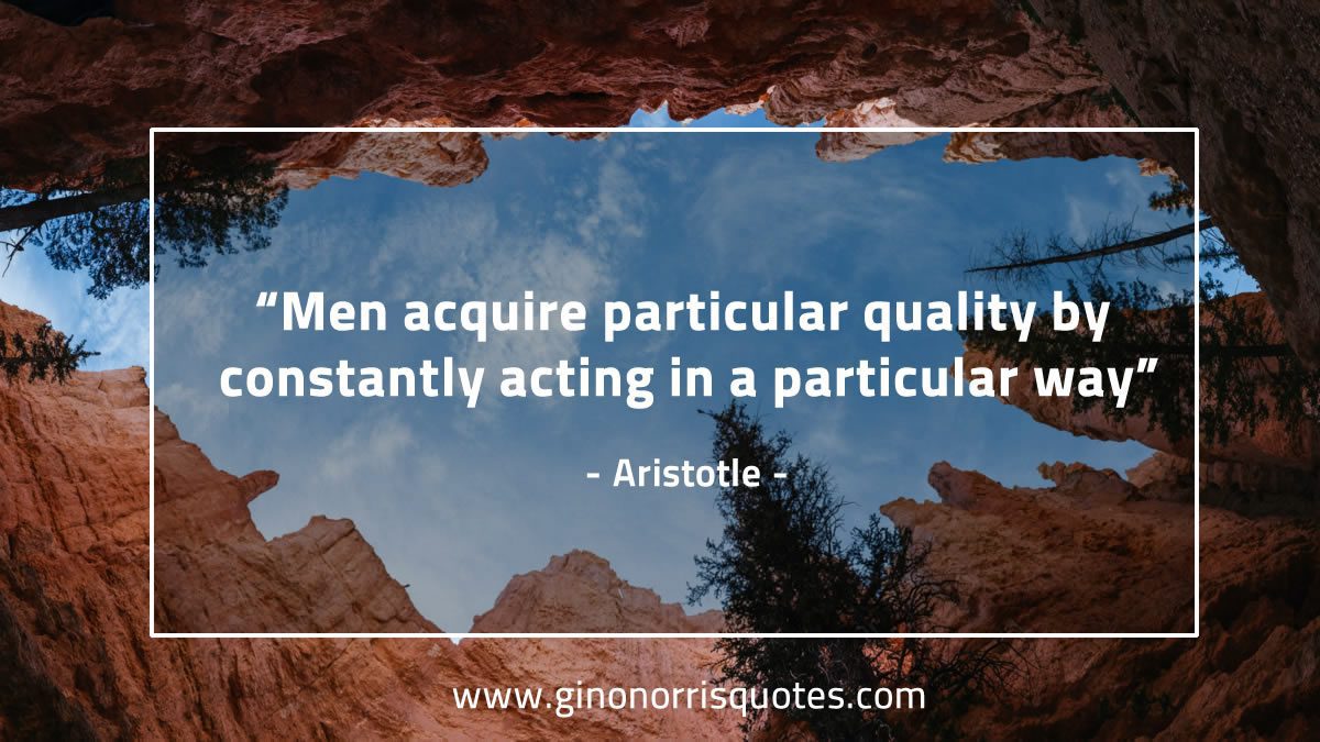 Men acquire particular quality AristotleQuotes