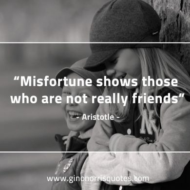 Misfortune shows those AristotleQuotes