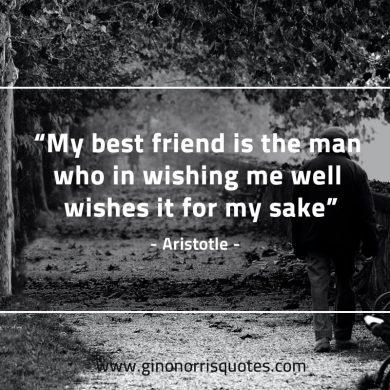 My best friend is the man AristotleQuotes