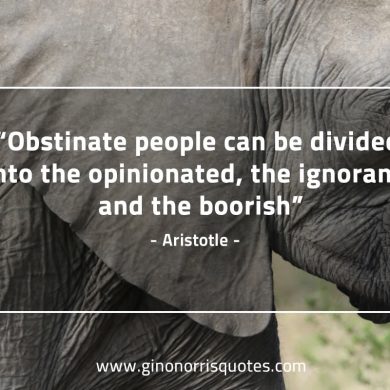 Obstinate people AristotleQuotes