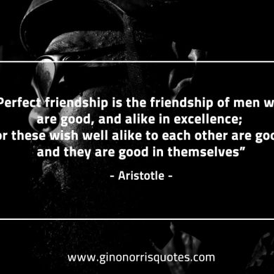 Perfect friendship AristotleQuotes