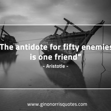 The antidote for fifty enemies AristotleQuotes