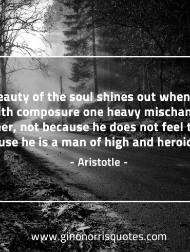 The beauty of the soul AristotleQuotes