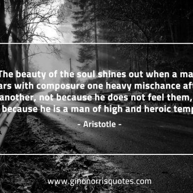 The beauty of the soul AristotleQuotes