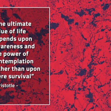 The ultimate value of life depends AristotleQuotes