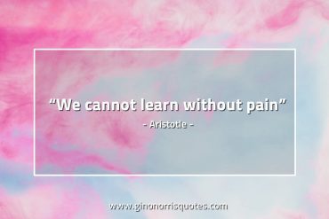 We cannot learn without pain AristotleQuotes