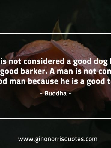 A dog is not considered BuddhaQuotes