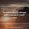 A foolishness is inflicted SenecaQuotes