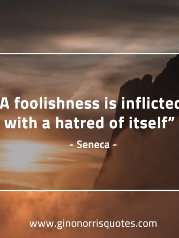 A foolishness is inflicted SenecaQuotes