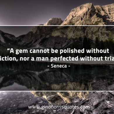 A gem cannot be polished without friction SenecaQuotes