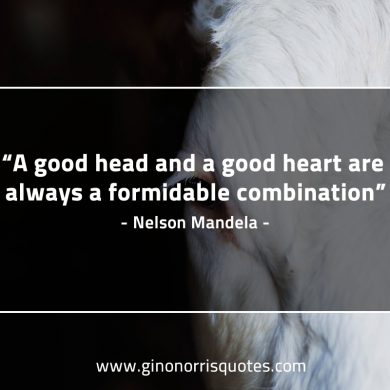 A good head and a good heart MandelaQuotes