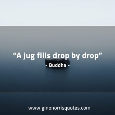 A jug fills drop by drop BuddhaQuotes