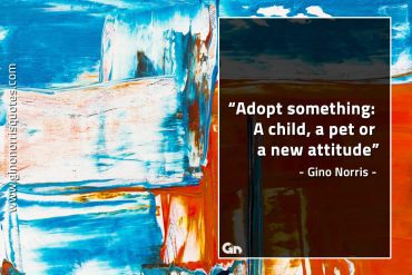 Adopt something GinoNorrisQuotes