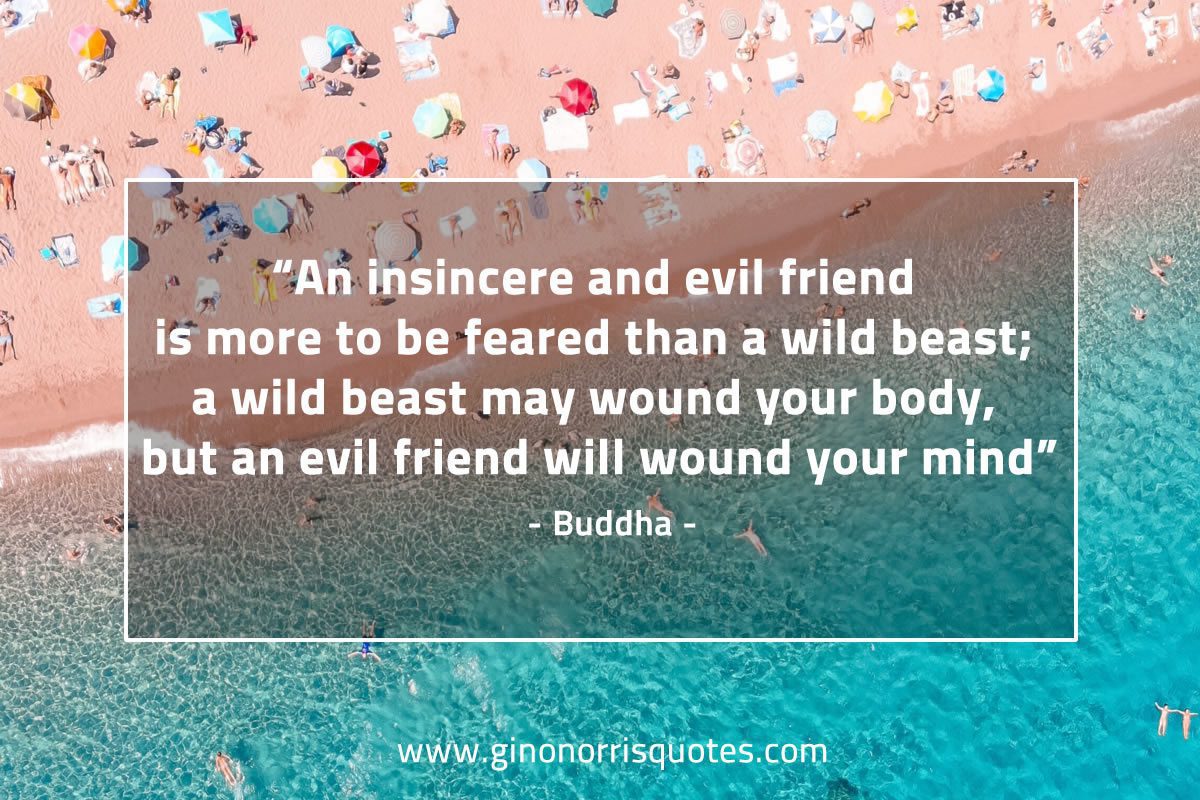 An insincere and evil friend BuddhaQuotes