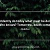 Ardently do today BuddhaQuotes