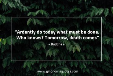 Ardently do today BuddhaQuotes