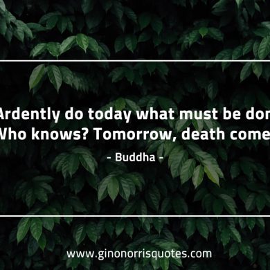 Ardently do today BuddhaQuotes