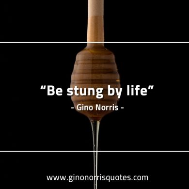 Be stung by life GinoNorrisQuotes