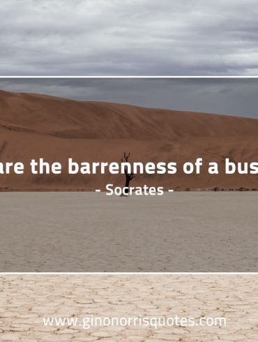 Beware the barrenness of a busy life SocratesQuotes