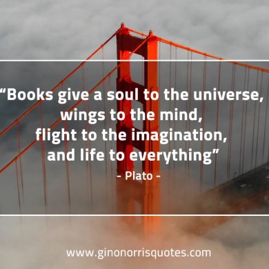 Books give a soul to the universe PlatoQuotes