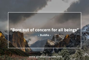 Born out of concern for all beings BuddhaQuotes