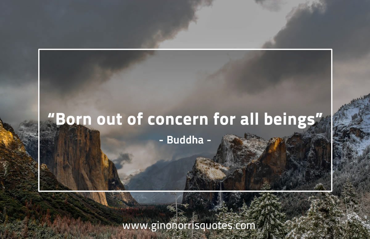 Born out of concern for all beings BuddhaQuotes