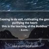 Ceasing to do evil BuddhaQuotes